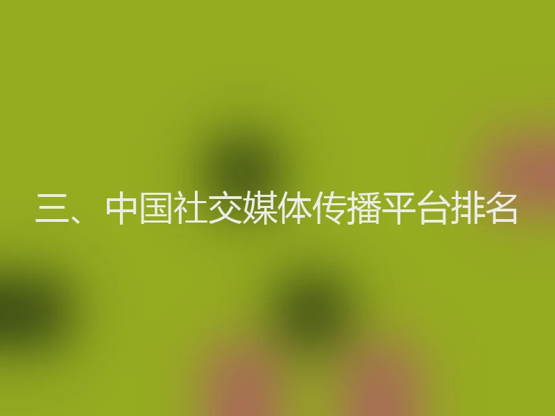 三、中国社交媒体传播平台排名
