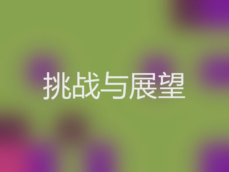 挑战与展望