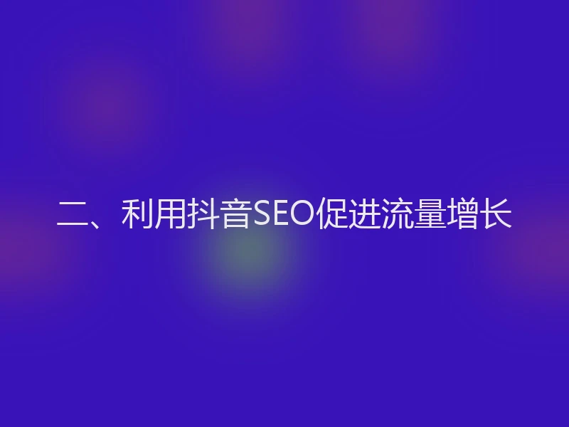 二、利用抖音SEO促进流量增长