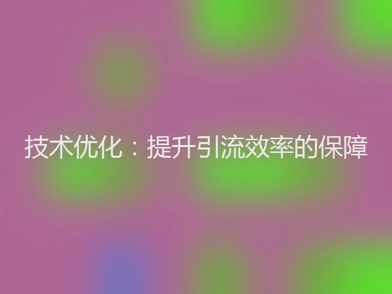 技术优化：提升引流效率的保障