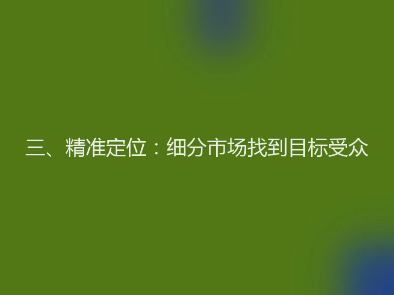 三、精准定位：细分市场找到目标受众