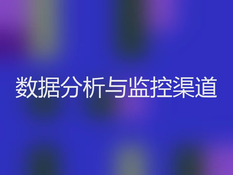 数据分析与监控渠道