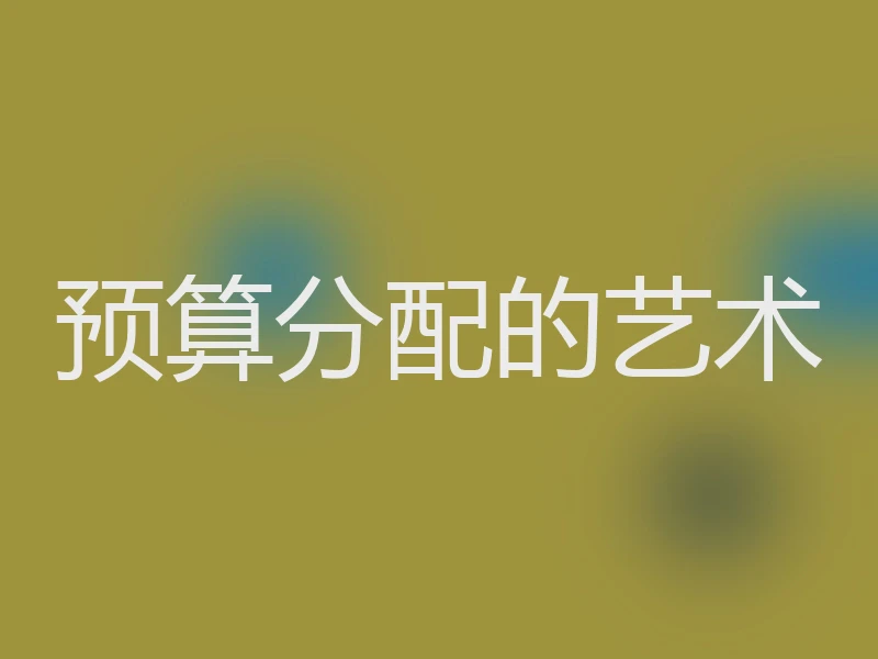 预算分配的艺术