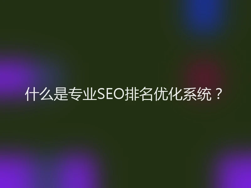 什么是专业SEO排名优化系统？