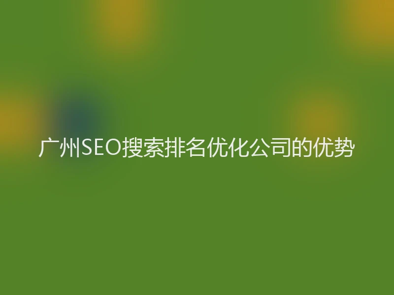 广州SEO搜索排名优化公司的优势