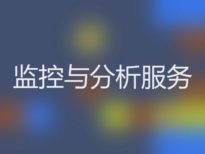 监控与分析服务
