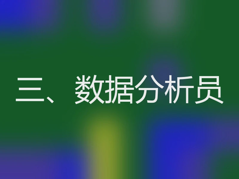 三、数据分析员