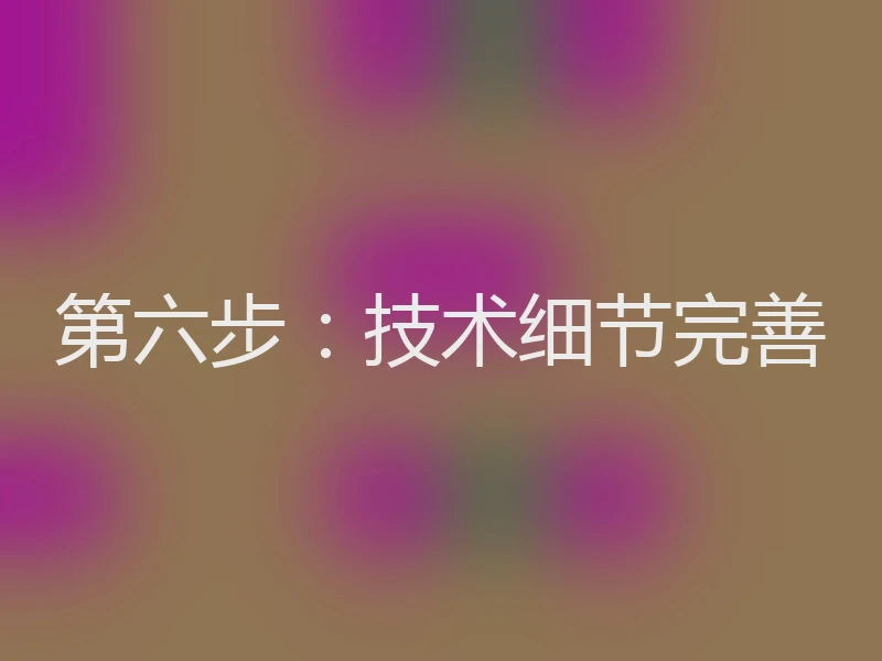 第六步：技术细节完善