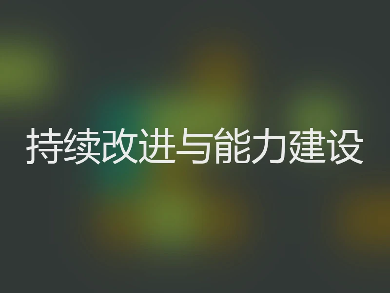 持续改进与能力建设