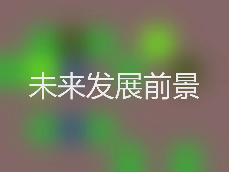 未来发展前景
