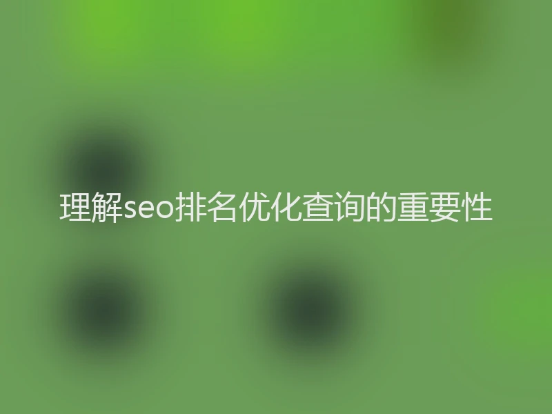 理解seo排名优化查询的重要性