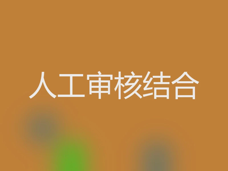 人工审核结合