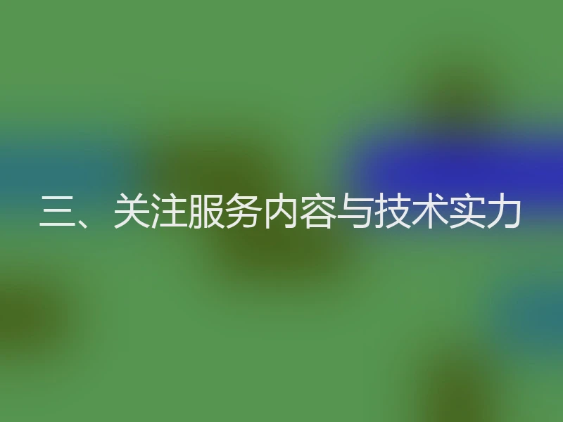三、关注服务内容与技术实力