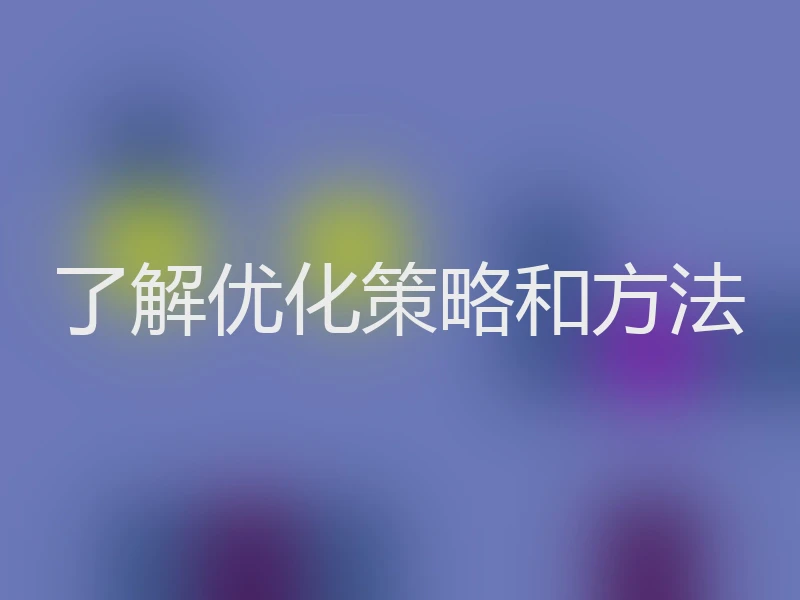 了解优化策略和方法
