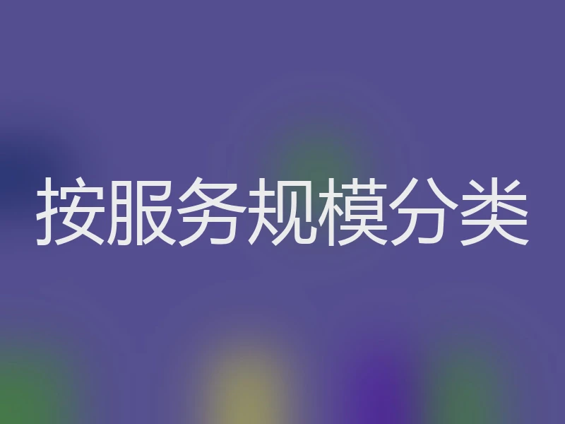 按服务规模分类