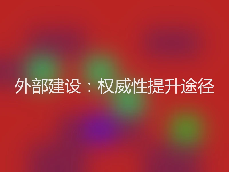 外部建设：权威性提升途径