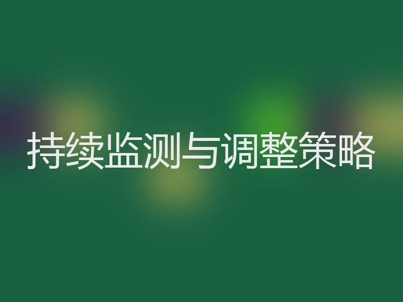持续监测与调整策略
