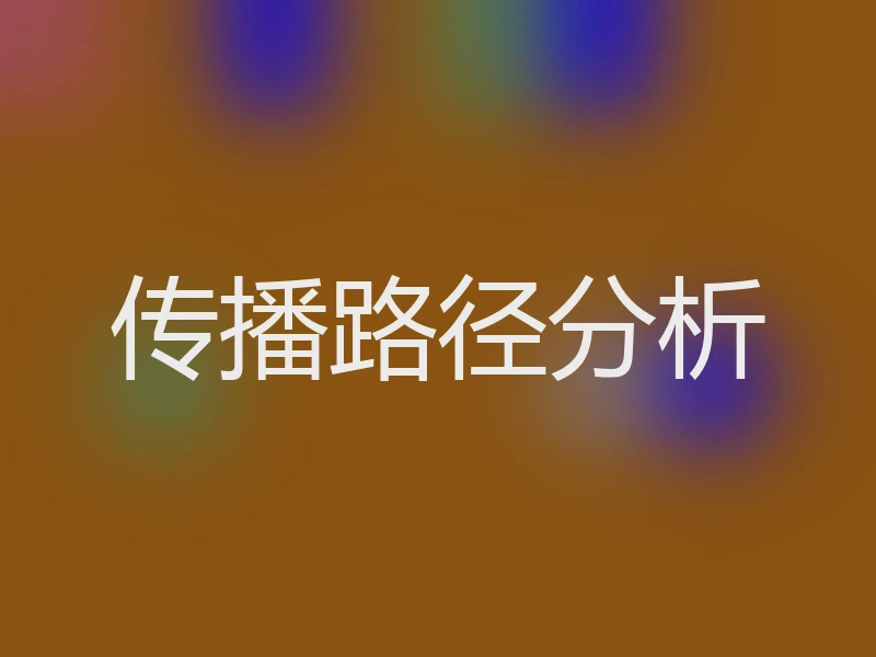 传播路径分析