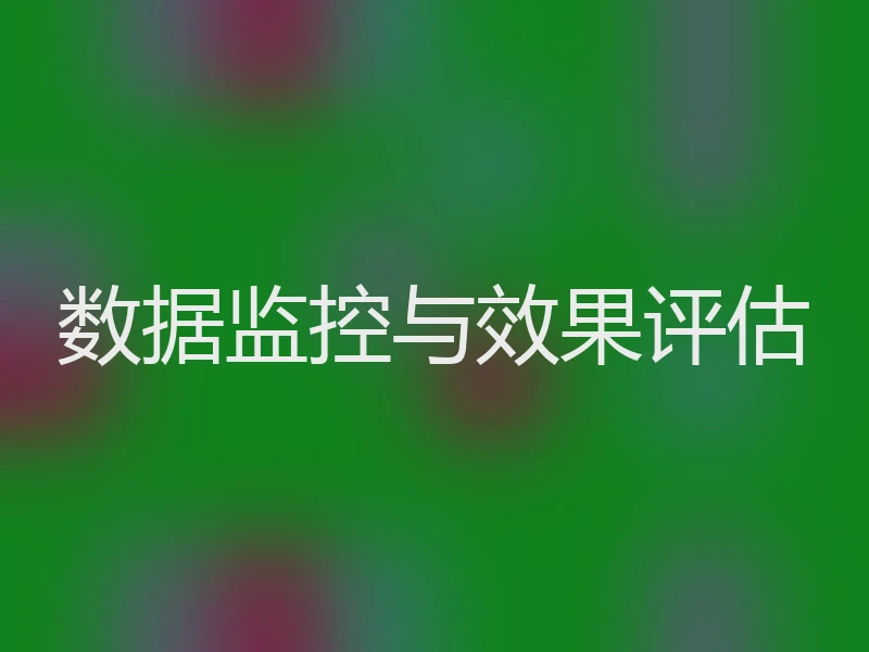 数据监控与效果评估