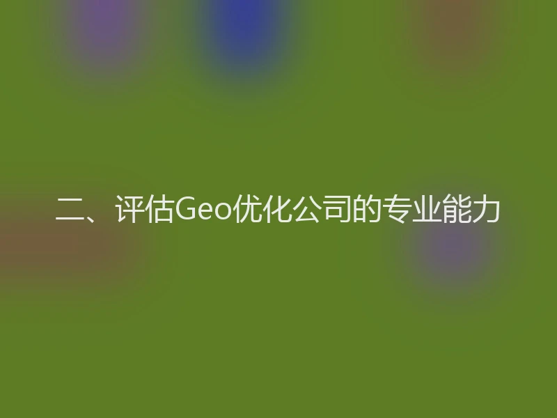 二、评估Geo优化公司的专业能力