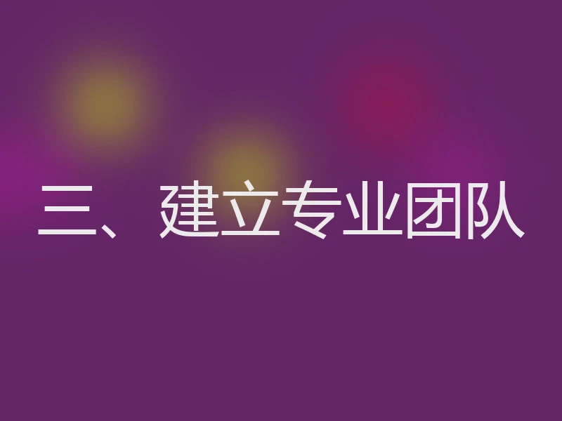 三、建立专业团队