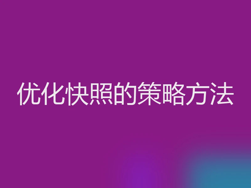 优化快照的策略方法