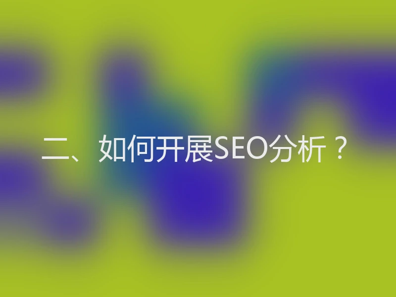 二、如何开展SEO分析？