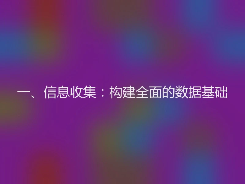 一、信息收集：构建全面的数据基础