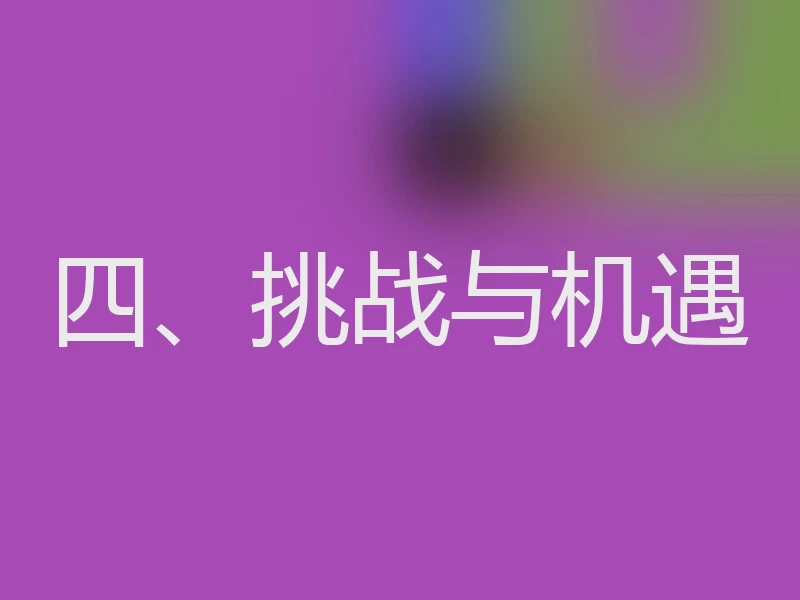 四、挑战与机遇