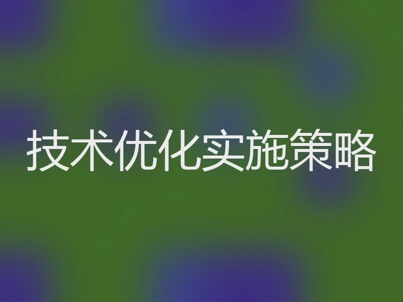 技术优化实施策略