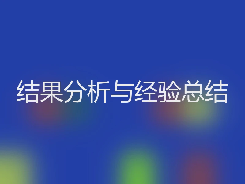 结果分析与经验总结