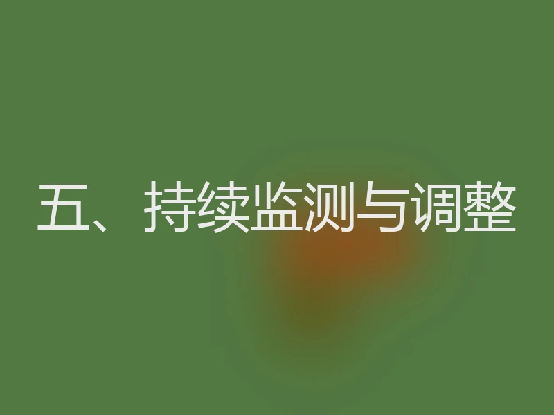 五、持续监测与调整