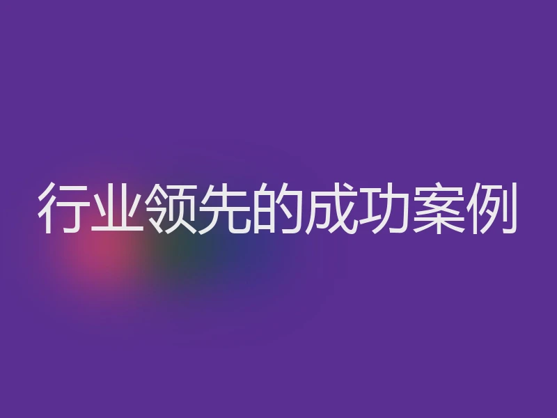 行业领先的成功案例