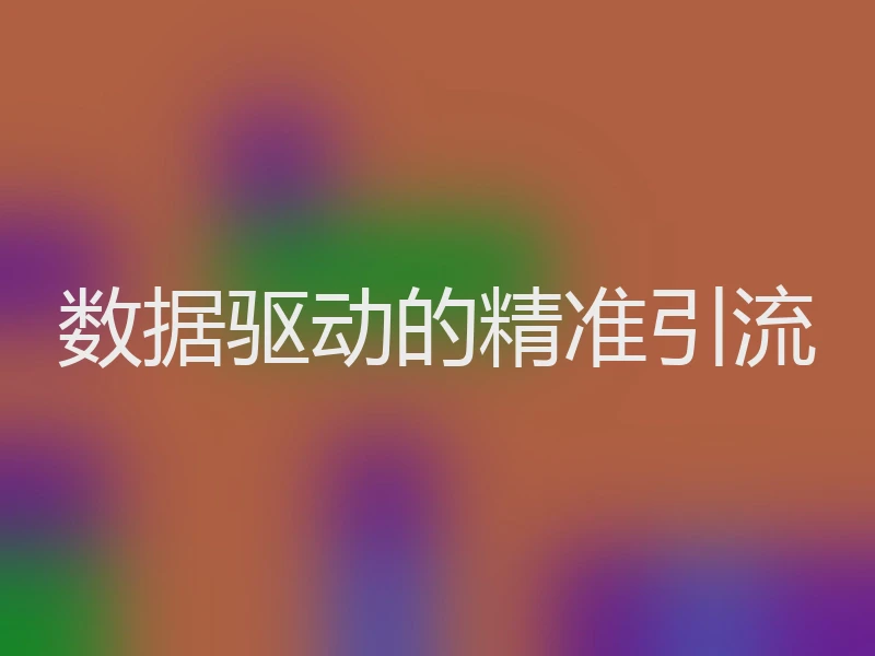 数据驱动的精准引流