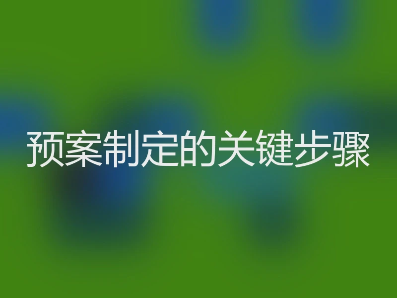 预案制定的关键步骤