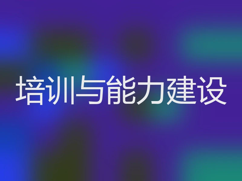 培训与能力建设