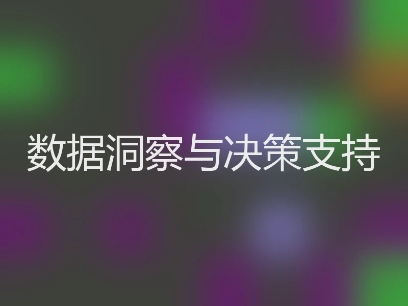 数据洞察与决策支持