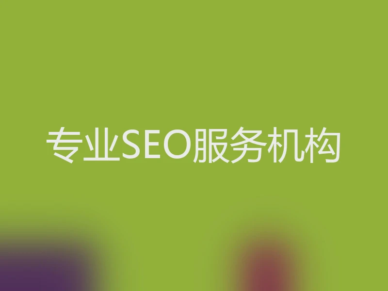 专业SEO服务机构