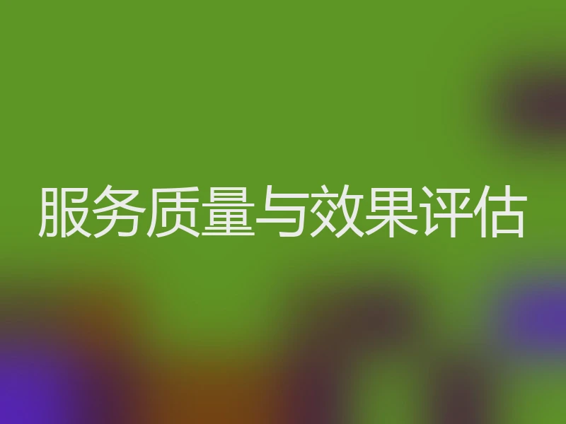 服务质量与效果评估