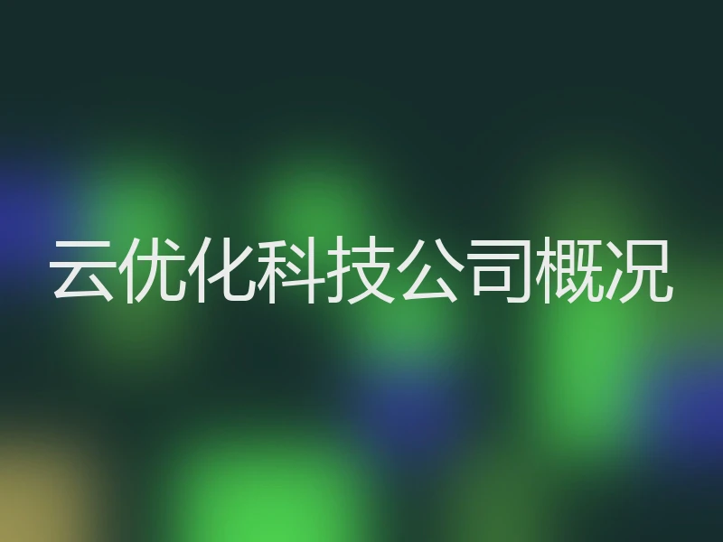 云优化科技公司概况