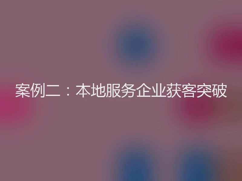 案例二:本地服务企业获客突破