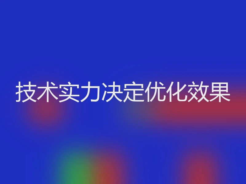 技术实力决定优化效果