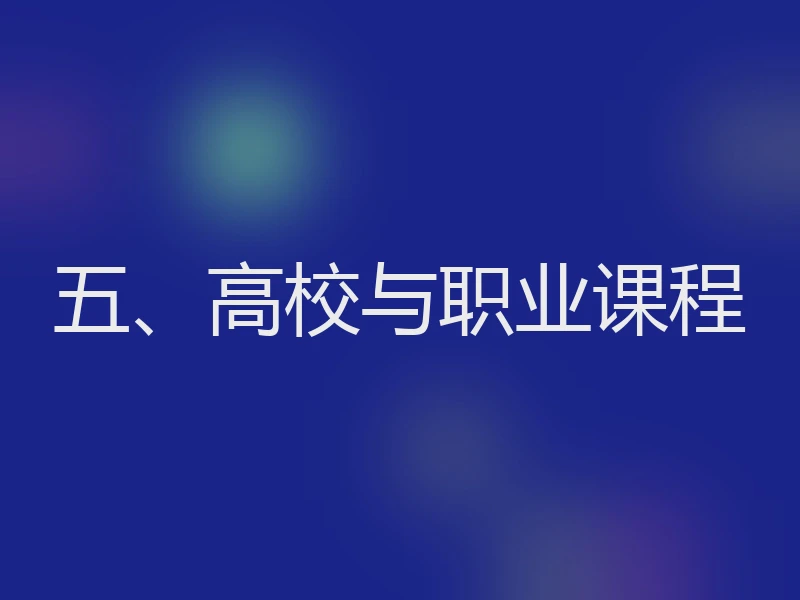 五、高校与职业课程