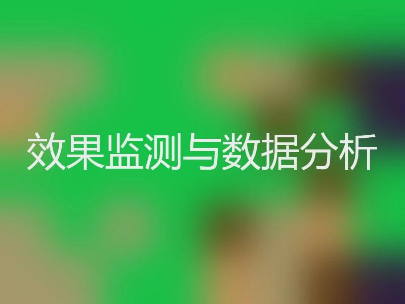 效果监测与数据分析