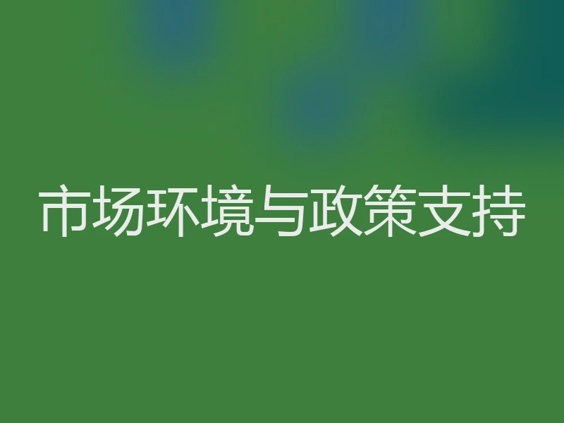 市场环境与政策支持
