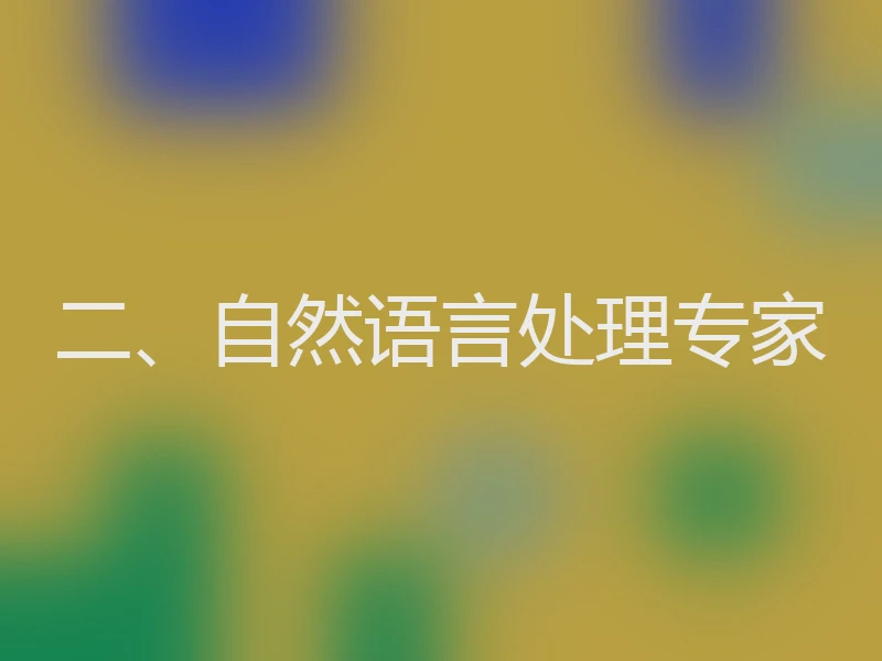 二、自然语言处理专家