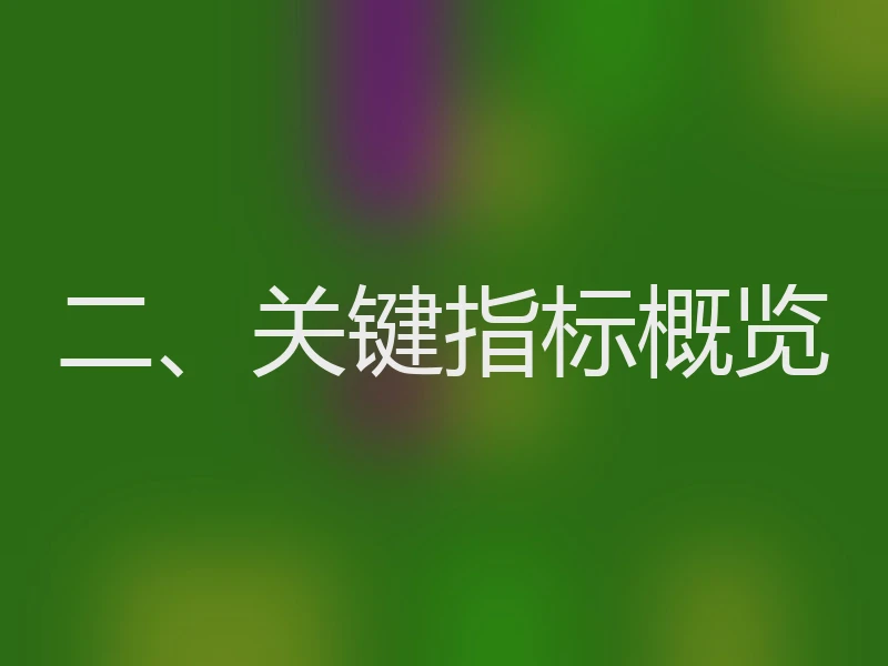 二、关键指标概览