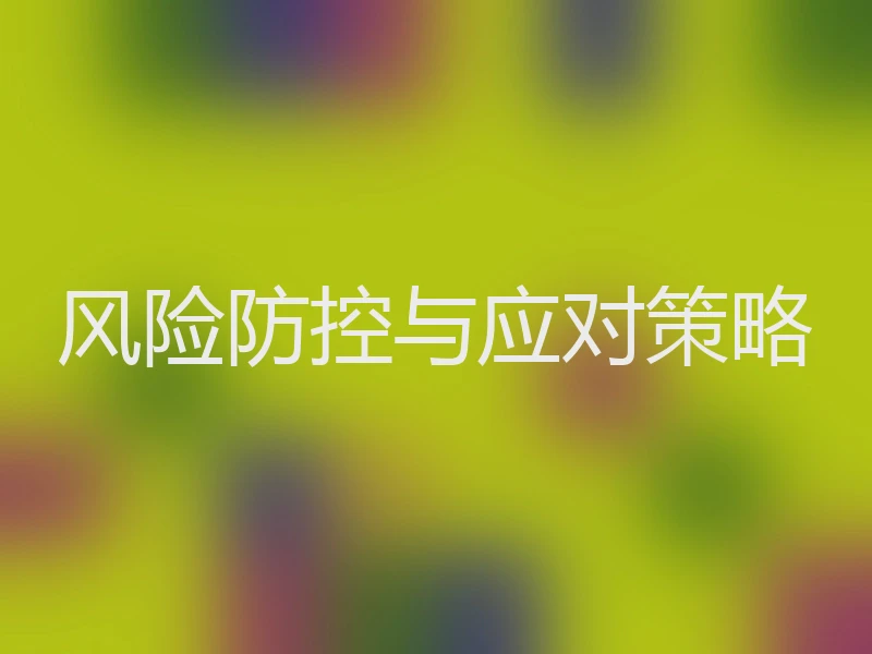 风险防控与应对策略