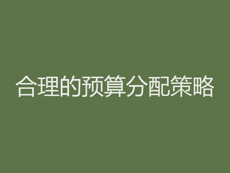 合理的预算分配策略