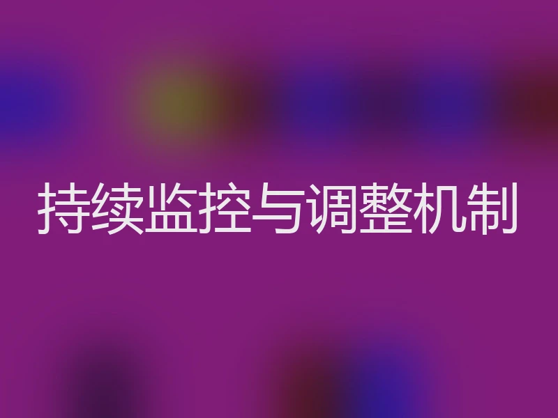 持续监控与调整机制